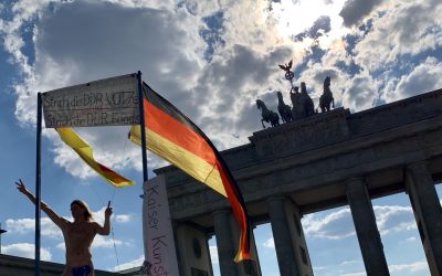 «Hay que prenderle fuego a la puta bandera»: breve comentario a la STC 190/2020