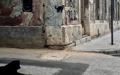 Confinamiento y criminalidad en España: un experimento criminológico natural